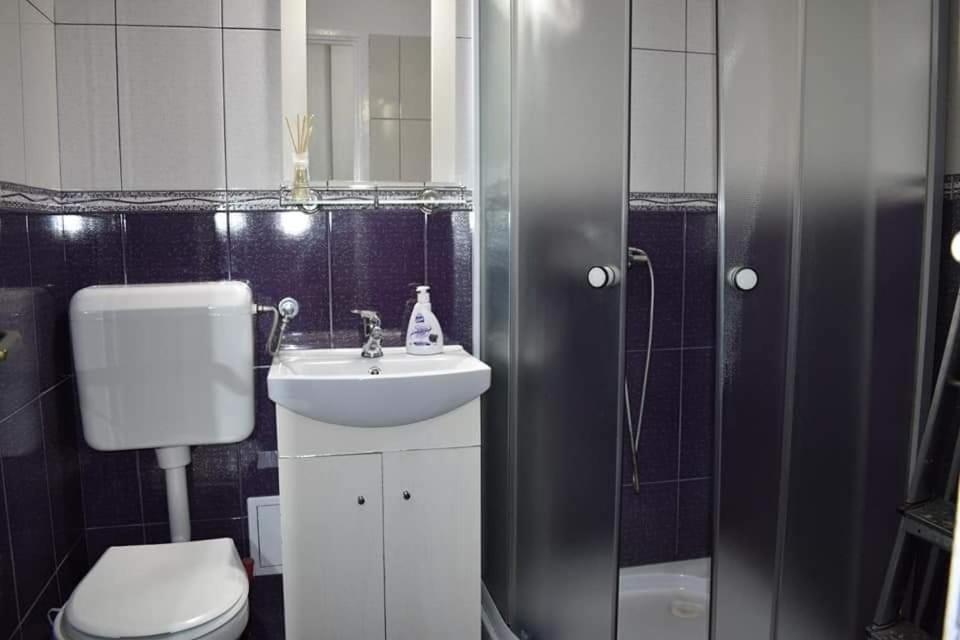 Bega Circumvalatiunii 1 Room Apartment Timisoara Exterior photo